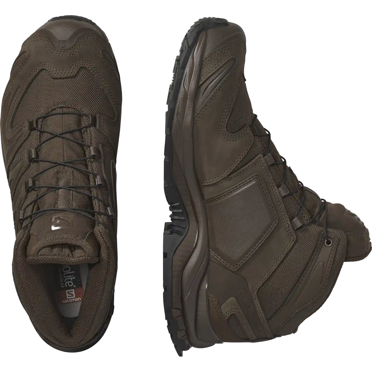 XA FORCES MID EN